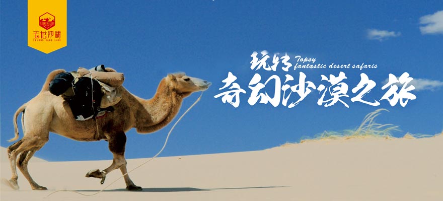 奇幻沙漠之旅
